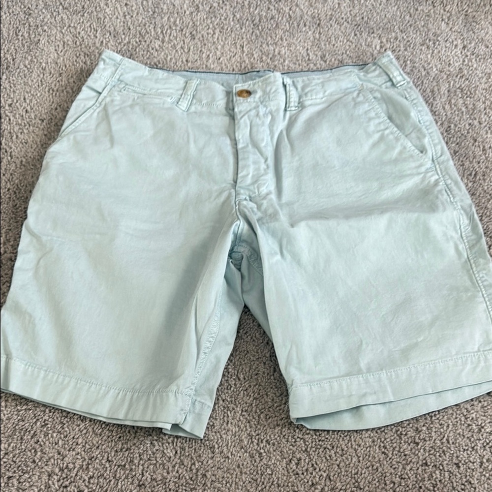 American Eagle Outfitters Green Flat Front Shorts
